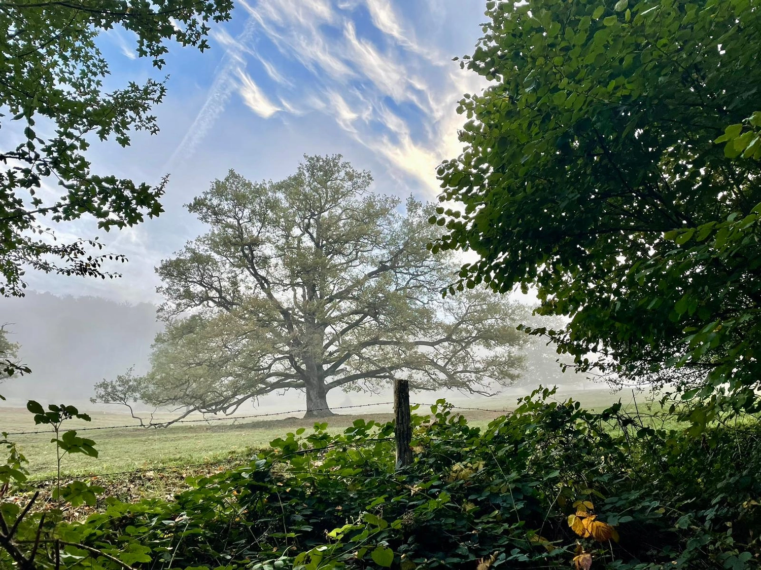Spüren + Fühlen – Gesundheitskonzepte – ein Natur-Hobbyfotograf mit Sitz im Süden Englands.